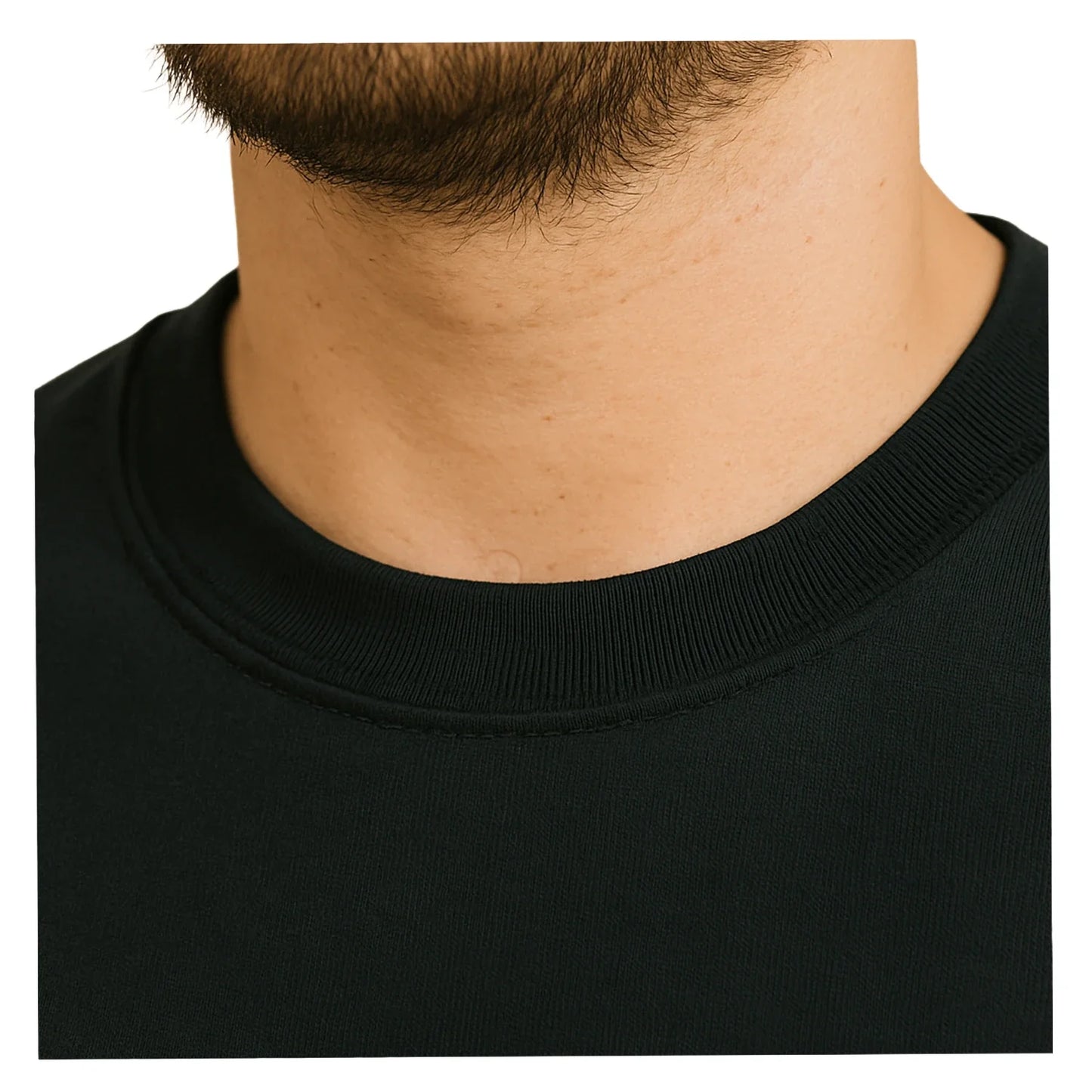 Polera Algodón Oversize Manga Corta Vulpes Unisex