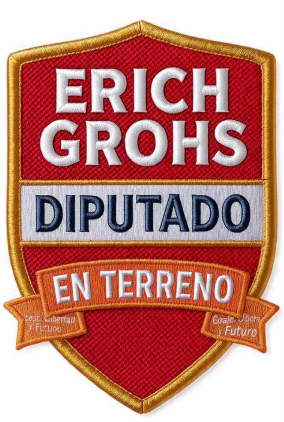 Logotipo de Erich Grohs — Diputado en Terreno